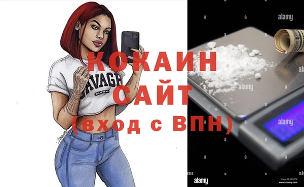 сатива Горнозаводск
