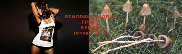 дживик Горно-Алтайск