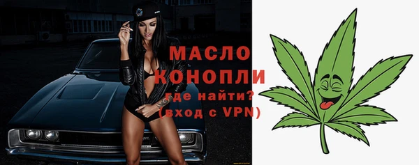 сатива Горнозаводск