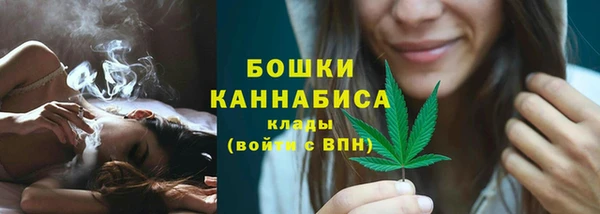 сатива Горнозаводск