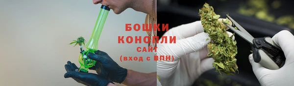 сатива Горнозаводск