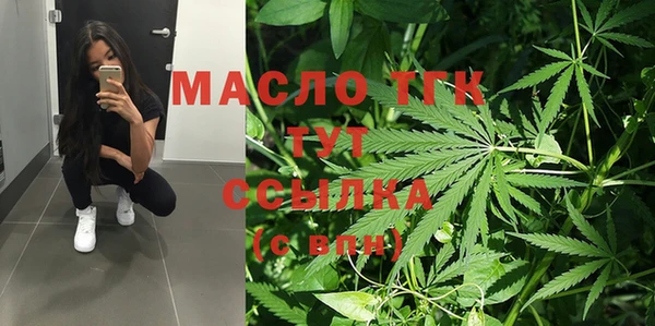 сатива Горнозаводск