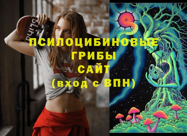 дживик Горно-Алтайск